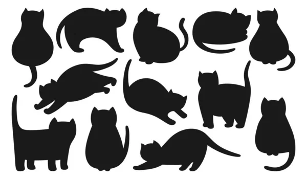 Gatos Conjunto Silhueta Bonito Kitty Forma Pura Com Diferentes Poses — Vetor de Stock