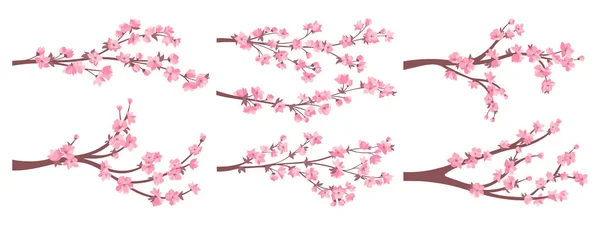 樱花桑花分枝与粉红色花的集合 优雅的日本开花枝条 花朵丛生 亚洲中国春装饰樱花盛开 矢量东方图解 — 图库矢量图片