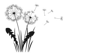 Uçan tohumlu karahindiba mürekkep silueti arkaplan. Siyah bitkiler oyan soyut çiçek desenleri. Botanik çiçeği işleme şablonu, reklam afişi, poster veya kart, kapak daveti