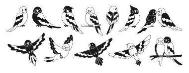 Papağan tropik karalama seti. Yaz vahşi egzotik oturma ve uçan kuş koleksiyonu. Vahşi yaşam cangılı Hawaii tatlı papağanları, komik muhabbet kuşu karakterleri el çizimi doğrusal kabartma vektör çizimi