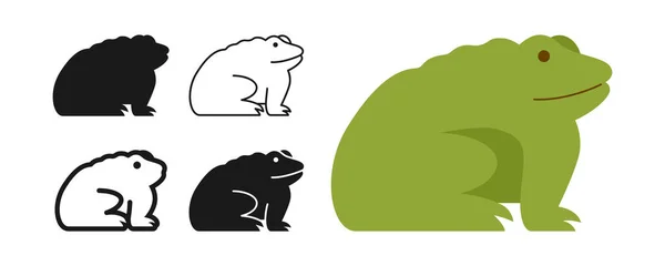 Frog Selvagem Réptil Cartoon Estilo Set Tropical Exótico Sapo Vista —  Vetores de Stock