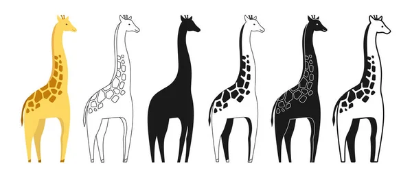 Conjunto Dibujos Animados Animales Salvajes Jirafa Safari Africano Jirafas Lindo — Vector de stock