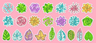 Lezzetli ev bitkisi çizgi film çıkartması seti. Scrapbook ev yapımı tropik orman rozeti. Lezzetli el yapımı çöl çiçeği çocuksu koleksiyonu. Günlük planlayıcı vektörü için çiçek bahçesi tasarımı