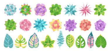 Lezzetli ev bitkisi çizgi film seti. Moda ev bitkisi tropikal orman dekoru. Lezzetli el yapımı çöl çiçeği koleksiyonu. Davetiye için egzotik bahçe tasarımı, poster ayrıntılı vektörü