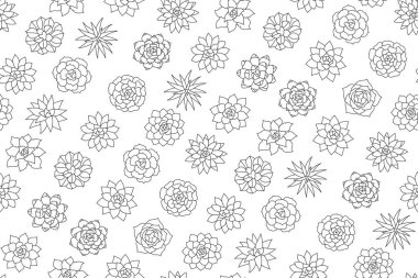 Lezzetli ev bitkisi dikişsiz desen. Tropikal ev bitkileri sınırsız arka plan. Sulu çöl çiçekleri yaz botanik tasarımı kağıt baskısı, kumaş, ambalaj arkaplan şablonu için