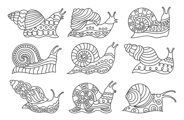 Lumaca Bambino Doodle Set Lineare Divertente Bambino Chiocciole Spirale Mollusco Illustrazioni Stock Royalty Free