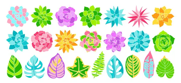 Succulent Ensemble Multicolore Dessin Animé Plantes Intérieur Lumineux Décor Jungle — Image vectorielle
