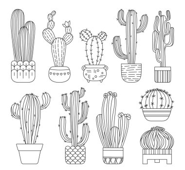 Kaktüs saksı karalama seti. El yapımı egzotik ev bitkileri. Esrar koleksiyonu izole edilmiş. Çeşitli doğrusal karikatür Meksika kaktüsü ev bitkileri. Şehir ormanı dekoru ya da dövme vektörü