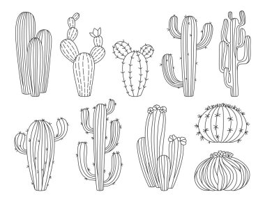 Kaktüs el çizimi egzotik karalama seti. Son moda çizgi film doğrusal sulu bitkiler koleksiyonu izole edildi. Albüm çizelgesi botanik şekilli çöl kaktüsü dövmesi. Meksika batı çizgisi vektör ormanı grafik illüstrasyonu