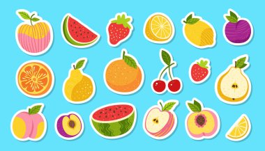 Meyve ya da böğürtlen çıkartması çizgi film seti. Dilimlenmiş limon portakalı, elma, armut, karpuz şeftali meyvesi, modaya uygun yapışkan bölge. Sulu çilek, erik, vişneli çocuklar seçildi. Yazdırma için vektör tasarımı