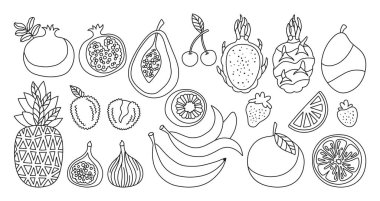 Meyve ya da böğürtlen karikatür seti. Dilimlenmiş doğrusal portakal, papaya incirli litchi ananas, ejderha meyveleri moda sanat. Sulu kivi, mango muzlu nar, çilekli kiraz çizgisi vektörü