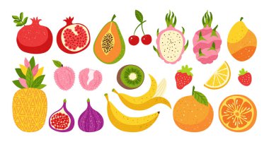 Meyve ya da böğürtlen el çizimi çizgi film seti. Dilimlenmiş portakal, papaya incirli litçi ananas, desenli ejderha meyveli sanat. Sulu kivi, mango muzlu nar, çilekli karalama vektörü.