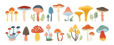 Mantarın el çizimi çizgi film seti. Zehirli ve yenilebilir çeşitli dokulu mantarlar vektör yalıtımı. Boletus, chanterelle, porcini Amanita Muscaria, Fly agaric mantar mantarı ikonu