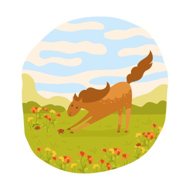 Yaz aylarında çayırda çizilen vektör illüstrasyonunda böcekli at. Yaz vadisinde şakacı kısrak at. Çizgi roman düz safkan aygır karakteri hayvanı. Çocuk posteri, kartı, kitabı için mükemmel bir tasarım.