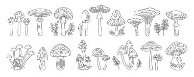 Mantarın el çizimi karalama seti. Zehirli ve yenilebilir çeşitli doğrusal mantarlar vektör yalıtımı. Boletus, chanterelle, porcini Amanita Muscaria, Fly agaric mantarlı mantar mantarı sanatı.