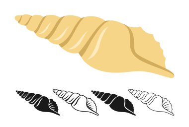 Deniz kabuğu sembolü. Okyanus tasarımları ve kıyı tropikal dekoru için mükemmel dekoratif plaj deniz altı tabelaları. Denizaltı, denizaltı veya akvaryum egzotik deniz kabuğu çizimi