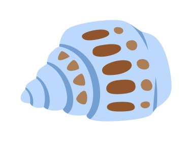 Deniz kabuğu çizimi. Dekoratif plaj deniz sualtı tasarım elementi okyanus temalı tasarımlar, baskılar ve kıyı tropikal dekoru için mükemmel. Deniz altı, deniz altı veya akvaryum egzotik deniz kabuğu