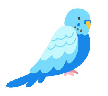 Papağan tropik karikatür çizimi. Çocuklar için egzotik parlak muhabbet kuşu mavisi çocuksu moda sanat, çıkartma kartı, poster kapağı. Vahşi yaşam cangılı Hawai tatlı kuşu komik canlı vektör karakteri