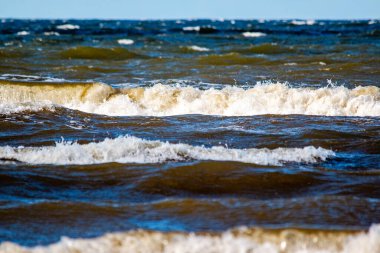 Latvia Rigas Gulf Jurmala coast waves foaming waves from low level front view  clipart