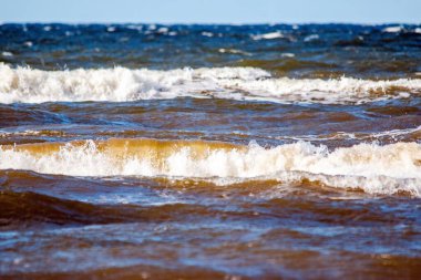Letonya Rigas Körfezi Jurmala kıyısı dalgaları alçak seviyeden dalgalanan dalgalar 