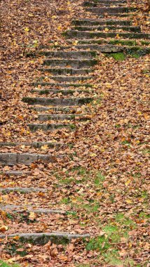 Sonbaharda parktaki küçük tepede düşen sarı yapraklı taş merdivenler hissedildi.