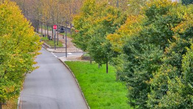 Westpark in Munich in late autumn trees bushes paths yellow leaves clipart