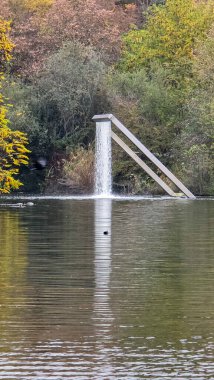 Westpark pond in Munich in late autumn, fallen yellow leaves in the water. Autumn, the trees reflected in the water. clipart