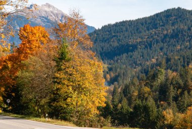 Bavyera Alp eteklerinin dağ ve çayır manzarası. Sonbahar akşamları orman ve dağlar. Mavi gökyüzü ve bulutlar