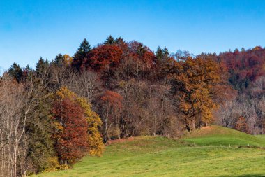 Güney Bavyera 'da sonbahar manzarası, arka planda dağlar var.