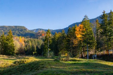 Güney Bavyera 'da sonbahar manzarası, ön planda yeşil çayırlar, arka planda dağlar ve mavi gökyüzü..