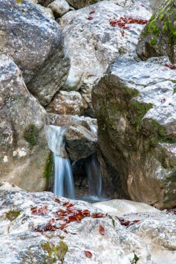 Sonbaharda Olstadt, Bavyera yakınlarındaki şelale ve dere. Bavyera Ormanı 'nda yosunlu taşlar ve yapraksız ağaçlar. Bulutlu ve gizemli.