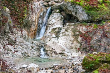 Sonbaharda Olstadt, Bavyera yakınlarındaki şelale ve dere. Bavyera Ormanı 'nda yosunlu taşlar ve yapraksız ağaçlar. Bulutlu ve gizemli.