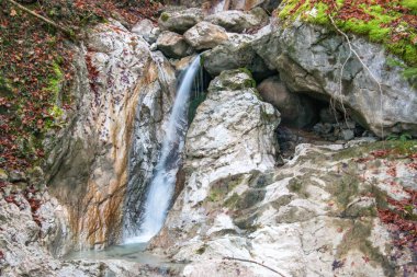 Sonbaharda Olstadt, Bavyera yakınlarındaki şelale ve dere. Bavyera Ormanı 'nda yosunlu taşlar ve yapraksız ağaçlar. Bulutlu ve gizemli.
