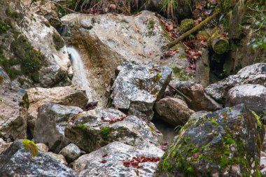 Sonbaharda Olstadt, Bavyera yakınlarındaki şelale ve dere. Bavyera Ormanı 'nda yosunlu taşlar ve yapraksız ağaçlar. Bulutlu ve gizemli.