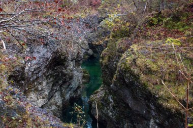  Sonbaharın sonlarında Bavyera Ormanı 'ndaki Walchenklamm vadisinde bir dere ve şelale. Yosun kaplı kayalar ve yapraksız ağaçlar. gizemli ve gizemli..