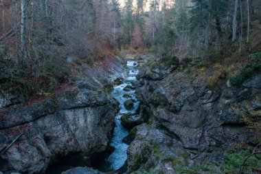  Sonbaharın sonlarında Bavyera Ormanı 'ndaki Walchenklamm vadisinde bir dere ve şelale. Yosun kaplı kayalar ve yapraksız ağaçlar. gizemli ve gizemli..