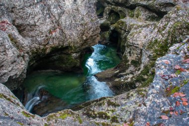 Sonbaharın sonlarında Bavyera Ormanı 'ndaki Walchenklamm vadisinde bir dere ve şelale. Yosun kaplı kayalar ve yapraksız ağaçlar. gizemli ve gizemli..