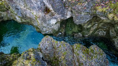 Sonbaharın sonlarında Bavyera Ormanı 'ndaki Walchenklamm vadisinde bir dere ve şelale. Yosun kaplı kayalar ve yapraksız ağaçlar. gizemli ve esrarengiz, hava görüntüsü