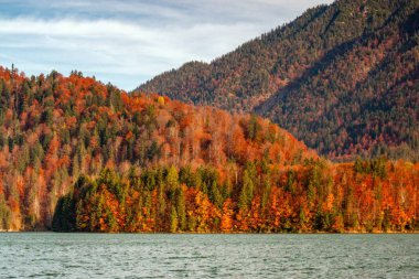 Bir sonbahar akşamında Alplerin eteklerinin güzel manzarası. Su ve sarı-kırmızı ağaçlar