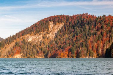 Bir sonbahar akşamında Alplerin eteklerinin güzel manzarası. Su ve sarı-kırmızı ağaçlar