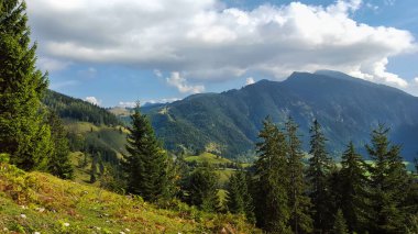 Bavyera 'daki Wendelstein dağına giden yol. Ormanlı dağlar, mavi gökyüzü ve güneş ışığı.