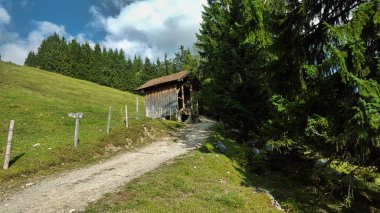 Bavyera 'daki Wendelstein dağına giden yol. Ormanlı dağlar, mavi gökyüzü ve güneş ışığı.