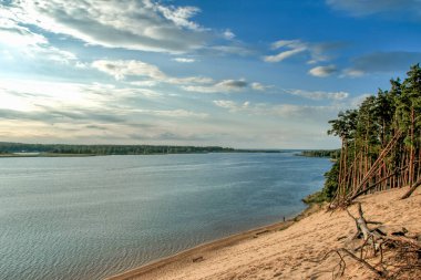 Lielupe nehrinin kıyısında kum tepesi. Çam ağaçları, kum ve güneş. Letonya yazı.