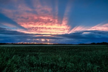 Bulutlu gökyüzünde gün batımı ve bulutlar. Önünde çimenlerle dolu kocaman bir tarla var.
