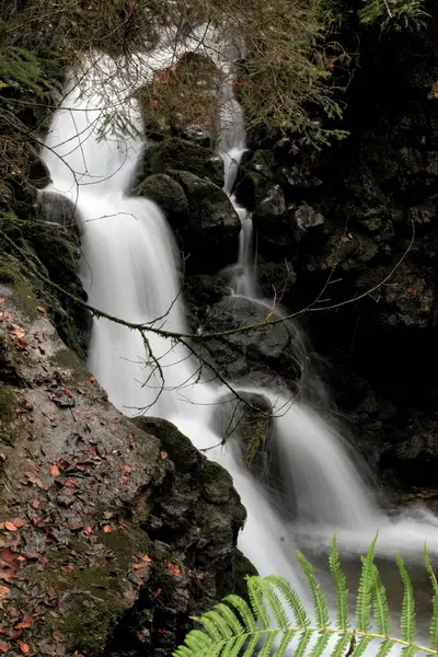 Small waterfall in a dark forest in autumn with green and yellow leaves. Flowing cold water and stones with moss.
