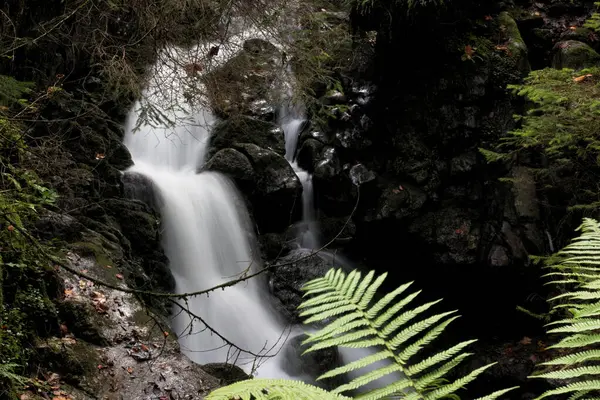 Small waterfall in a dark forest in autumn with green and yellow leaves. Flowing cold water and stones with moss.