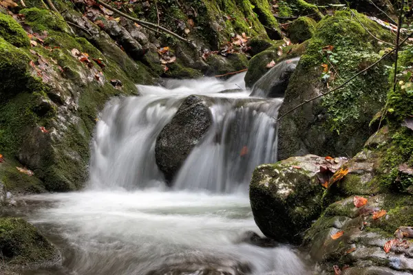 Small waterfall in a dark forest in autumn with green and yellow leaves. Flowing cold water and stones with moss.