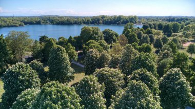 Göl manzarası ve yeşil ağaçlar, güneşli bir mayıs gününde parkta çiçek açan kestane ağaçları..