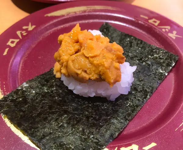 Tokyo, Japonya - 19 Ocak 2024: Suşi adında bir suşi restoranında, kestane rengi bir tabakta Uni Sushi 'nin yakın görüntüsü