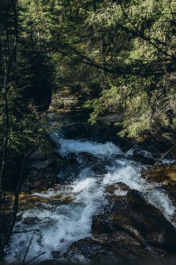  Avusturya Alpleri, yürüyüş ve tatiller. Yüksek kalite fotoğraf